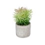 Decorative Plant Grey Brown Green Plastic (12 x 22 x 12 cm)