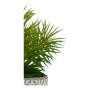 Dekorationspflanze Grau Braun grün Kunststoff (12 x 22 x 12 cm)