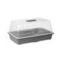 Greenhouse Grey Transparent Plastic 38,4 x 17,5 x 24,7 cm (8 Units)