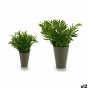 Decorative Plant Plastic 13 x 25 x 13 cm Green (12 Units)