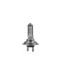 Ampoule pour voiture M-Tech PTZ7-01B 12 V 55 W H7