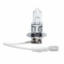 Halogenlampe M-Tech Z3 H3 12V 55W PK22S Halogen H1 55 W PK22S 12 V