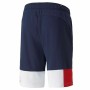 Herren-Sportshorts Puma Essentials+ Block Dunkelblau