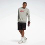 Herren Sweater ohne Kapuze Reebok Identity Grau