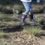 Bottes en Caoutchouc pour Enfants Jurassic Park