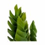 Dekorationspflanze Sukkulente Kunststoff 12 x 24 x 12 cm (6 Stück)