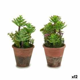 Plante décorative Succulent Plastique 16 x 23 x 16 cm (12 Unités)