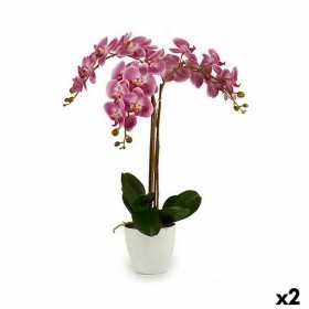 Plante décorative Orchidée Plastique 30 x 80 x 40 cm (2 Unités)