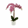 Decorative Plant Orchid Plastic 30 x 80 x 40 cm (2 Units)