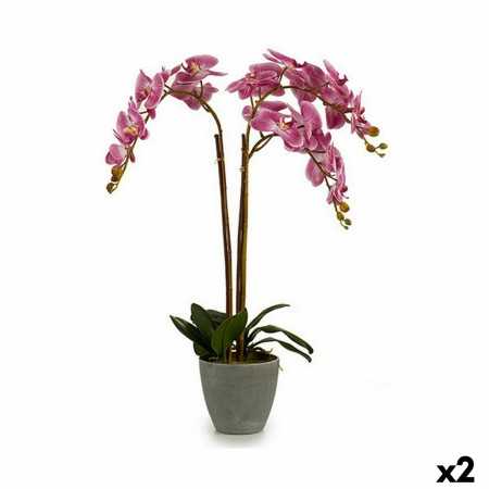 Plante décorative Orchidée Plastique 33 x 77 x 33 cm (2 Unités)