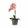 Plante décorative Orchidée Plastique 20 x 47 x 33 cm (4 Unités)