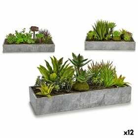 Decorative Plant Succulent Plastic Cement 10 x 14,5 x 30,5 cm (12 Units)