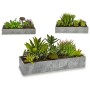 Decorative Plant Succulent Plastic Cement 10 x 14,5 x 30,5 cm (12 Units)