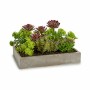 Decorative Plant Succulent Plastic Cement 16,5 x 20 x 28,5 cm (6 Units)