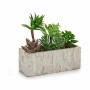 Decorative Plant Succulent Plastic 9 x 19 x 21,5 cm (8 Units)