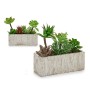 Decorative Plant Succulent Plastic 9 x 19 x 21,5 cm (8 Units)