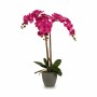 Plante décorative Orchidée Plastique 60 x 78 x 44 cm (2 Unités)