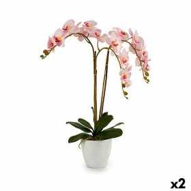 Plante décorative Orchidée Plastique 40 x 77 x 35 cm (2 Unités)