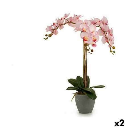 Plante décorative Orchidée Plastique 29 x 78 x 35 cm (2 Unités)