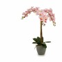 Plante décorative Orchidée Plastique 29 x 78 x 35 cm (2 Unités)