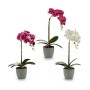 Dekorationspflanze Orchidee Kunststoff 13 x 39 x 22 cm (6 Stück)