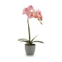 Dekorationspflanze Orchidee Kunststoff 13 x 39 x 22 cm (6 Stück)