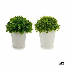 Plante décorative Plastique 13 x 17 x 13 cm (12 Unités)