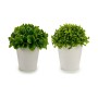 Decorative Plant Plastic 13 x 17 x 13 cm (12 Units)