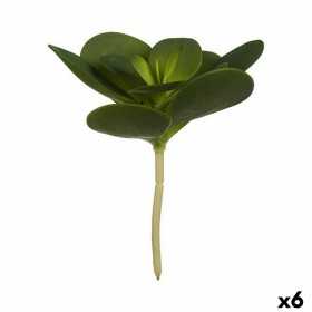 Dekorationspflanze Bettlaken kreisförmig Kunststoff 18 x 23 x 18 cm (6 Stück)