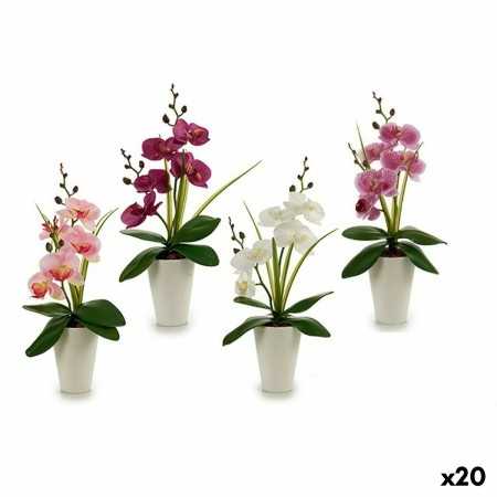 Fleur décorative Orchidée Plastique 14 x 35 x 8 cm (12 Unités)
