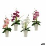 Dekorativ blomma Orkidé Plast 14 x 35 x 8 cm (12 antal)