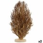 Decorative Figure Tree Wood Brown 35 x 65 x 35 cm (2 Units)