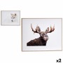 Canvas animals 61,5 x 3 x 81,5 cm (2 Units)