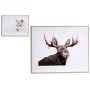 Canvas animals 61,5 x 3 x 81,5 cm (2 Units)