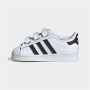 Sportschuhe für Babys Adidas Superstar Weiß