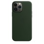 Protection pour téléphone portable iPhone 13 Pro Max Apple iPhone 13 Pro Max Vert