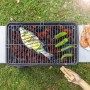 Barbecue Grill for Fish Fisket InnovaGoods Iron (Refurbished A+)