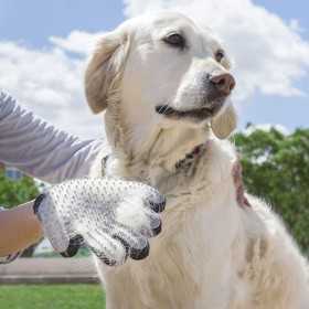 Bürsthandschuh für Haustiere Relpet InnovaGoods