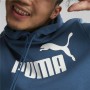 Sweat à capuche homme Puma Big Logo Bleu