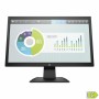 Monitor HP P204V 19,5" LCD