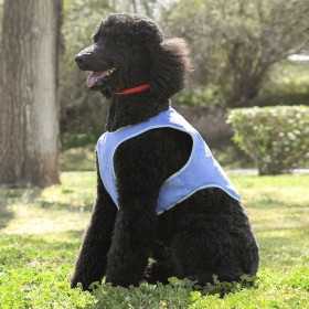 InnovaGoods Refreshing Pet Vest for Medium Pets - M