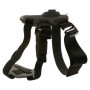 Pet Harness with Support for Sports Camera KSIX Black
