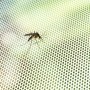 Schneidbarer Mückenschutz zum Aufkleben White InnovaGoods
