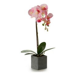 Dekorativ växt Orkidé 15 x 43 x 18 cm Plast