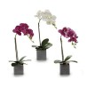 Plante décorative Orchidée 15 x 43 x 18 cm Plastique