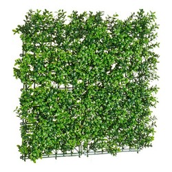 Decorative Plant Green Plastic (50 x 5 x 50 cm)