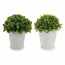 Decorative Plant 8430852553041 White Green Plastic 13 x 17 x 13 cm