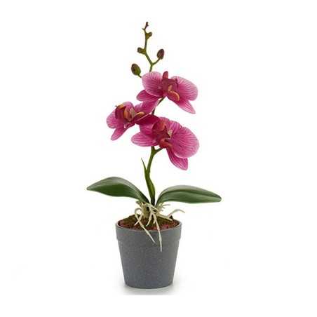 Plant pot Purple Pink Fuchsia White Plastic 7 x 26 x 14 cm