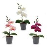 Plant pot Purple Pink Fuchsia White Plastic 7 x 26 x 14 cm