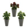 Dekorationspflanze Rot Orange grün Kunststoff 10 x 22 x 10 cm Hellgrün